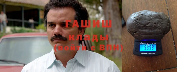 гидра Гусев