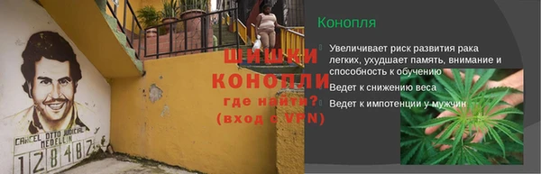 гидра Гусев