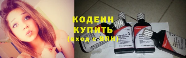 мдпв Горно-Алтайск