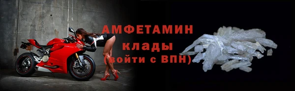 гидра Гусев
