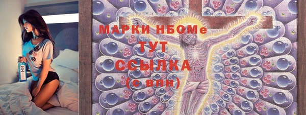 гидра Гусев