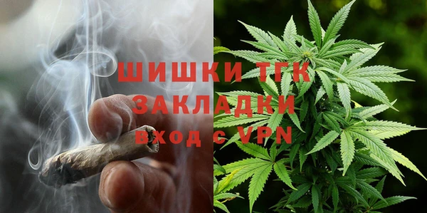 гидропоника Гусиноозёрск