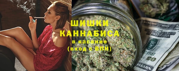 мдпв Горно-Алтайск