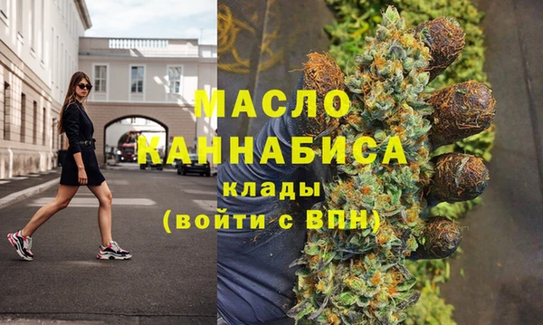 гидра Гусев