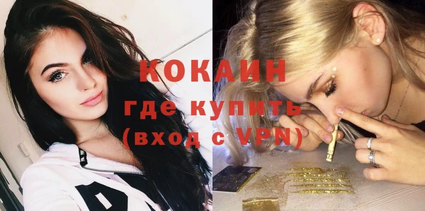 гидропоника Гусиноозёрск