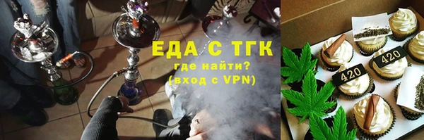 гидра Гусев