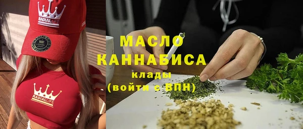 гидра Гусев